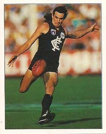 1994 Select AFL Stickers #52 Tom Alvin Front